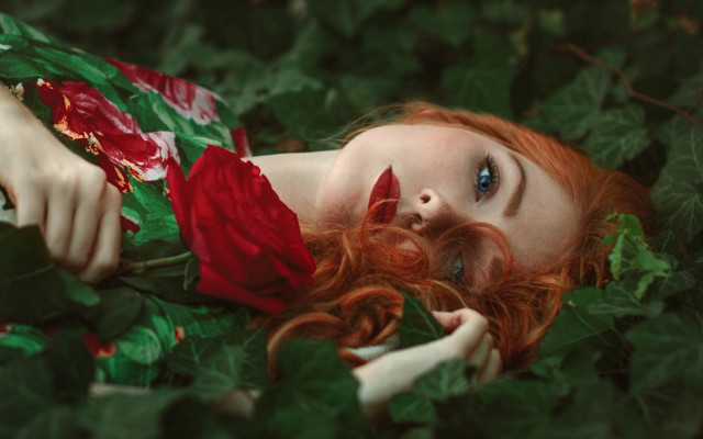 Woman laying roses leaves blurred free wallpaper for desktop - medium preview image