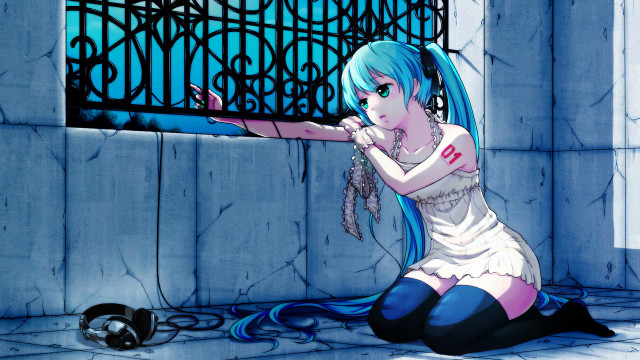 Blue haired girl sitting cat free wallpaper for desktop - medium preview image