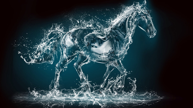 Horse water blue black white #2 free wallpaper for desktop - medium preview image