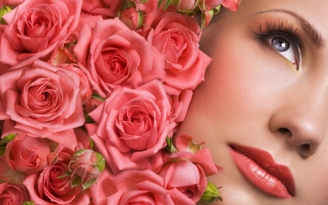 Pink roses flower bouquet face free wallpaper for desktop - medium preview image