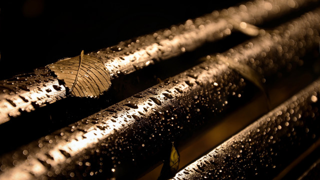 Metal structure rain drops leaf free wallpaper for desktop - medium preview image