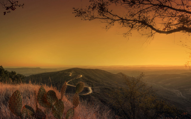 Sunset road mountain cactus tree free wallpaper for desktop - medium preview image