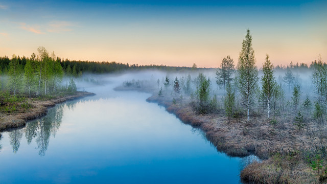 River trees fog sunset magic free wallpaper for desktop - medium preview image