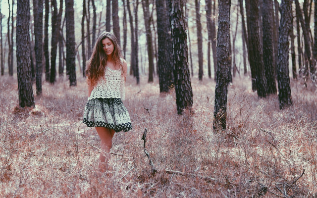 Woman field tallgrass forest cherryblossoms free wallpaper for desktop - medium preview image