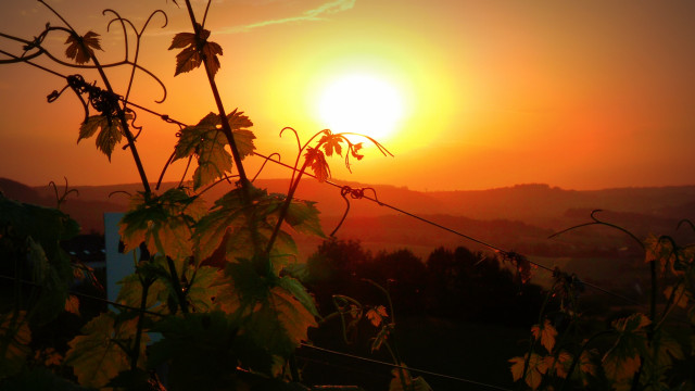 Sunset vineyard mountain clouds gradient free wallpaper for desktop - medium preview image