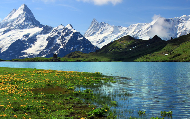 Mountain lake field flowers sky free wallpaper for desktop - medium preview image