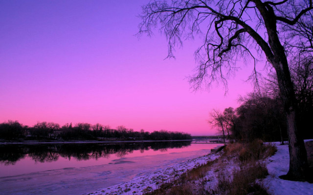 River tree purple sky sunset free wallpaper for desktop - medium preview image
