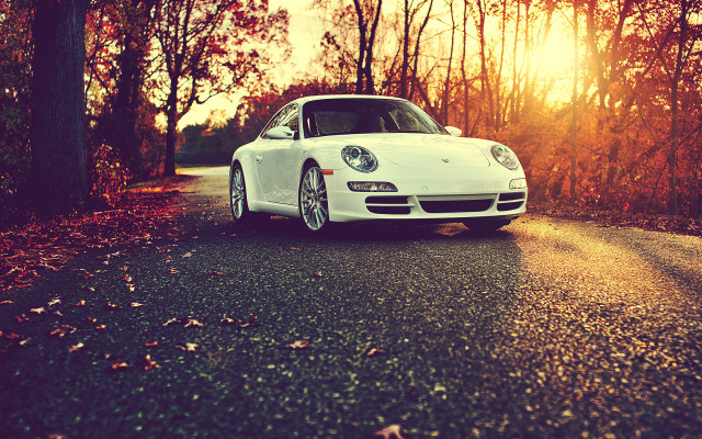 White car woods sunset autumn free wallpaper for desktop - medium preview image