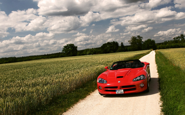 Red sports car wheat field free wallpaper for desktop - medium preview image