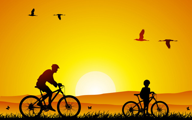Biking sunset birds child silhouette free wallpaper for desktop - medium preview image