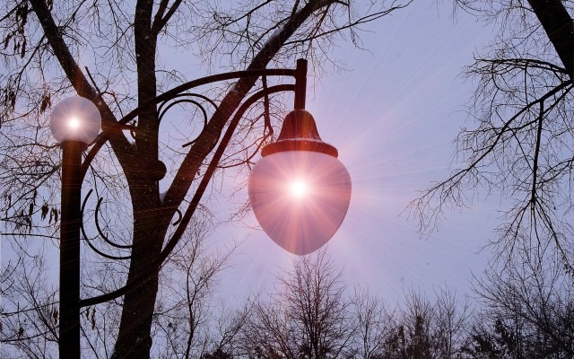 Streetlight tree sunshine autumn leaves free wallpaper for desktop - medium preview image