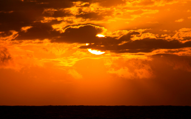 Surfboard sunset water clouds dragonfly free wallpaper for desktop - medium preview image