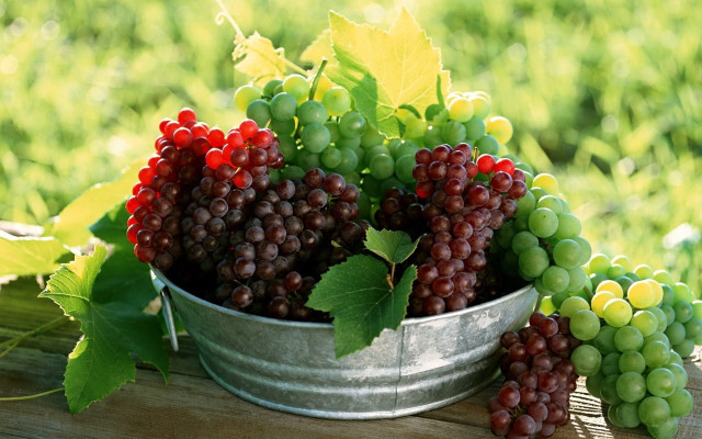 Grapes leaves outdoor stilllife photorealism free wallpaper for desktop - medium preview image