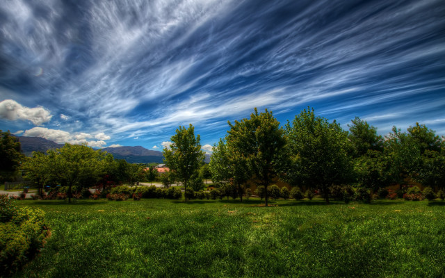 Field trees house blue sky free wallpaper for desktop - medium preview image