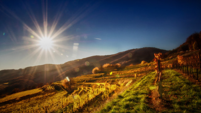 Giraffe greenhills mountains sunlight lake free wallpaper for desktop - medium preview image