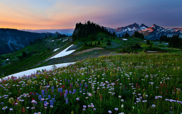 Mountain sunset wildflowers river forest free wallpaper for desktop - medium preview image