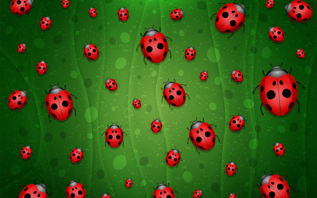 Ladybugs green spotted surface flower free wallpaper for desktop - medium preview image