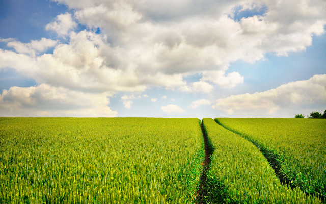 Green field sky clouds trail free wallpaper for desktop - medium preview image