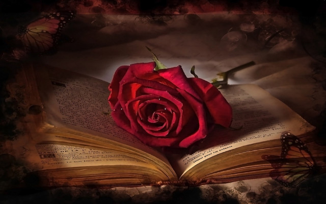 Rose butterfly book gothic flowers free wallpaper for desktop - medium preview image