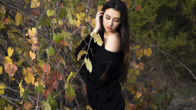 Woman black dress tree leaves #2 free wallpaper for desktop - medium preview image