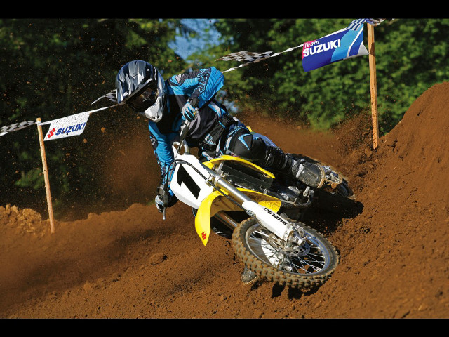 Dirt bike rider track trees free wallpaper for desktop - medium preview image