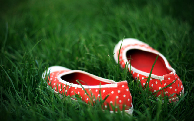 Red shoes grass field blurry free wallpaper for desktop - medium preview image