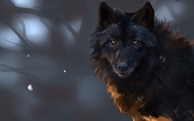 Black wolf snowy forest blue free wallpaper for desktop - medium preview image