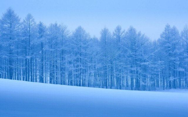 Snowy landscape trees blue sky #5 free wallpaper for desktop - medium preview image