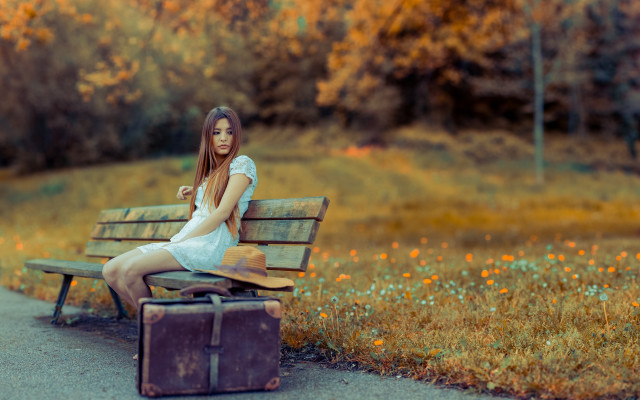 Alice prin woman bench suitcase free wallpaper for desktop - medium preview image