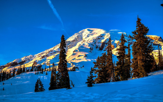 Snowy mountain trees blue sky #16 free wallpaper for desktop - medium preview image