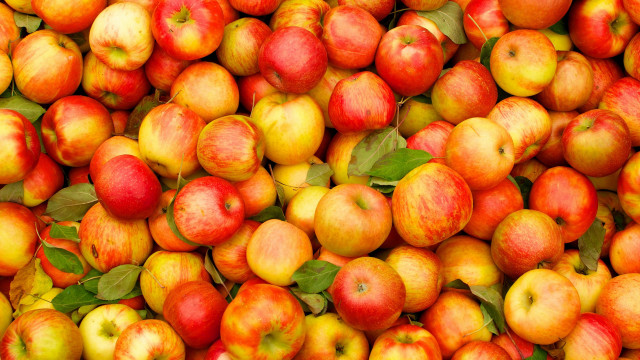 Apples leaves harvest vibrant food free wallpaper for desktop - medium preview image