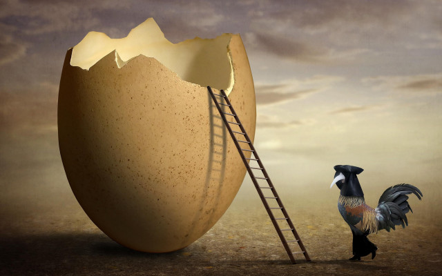 Rooster giant egg ladder surrealist free wallpaper for desktop - medium preview image