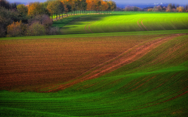 Field trees landscape impressionist fence free wallpaper for desktop - medium preview image