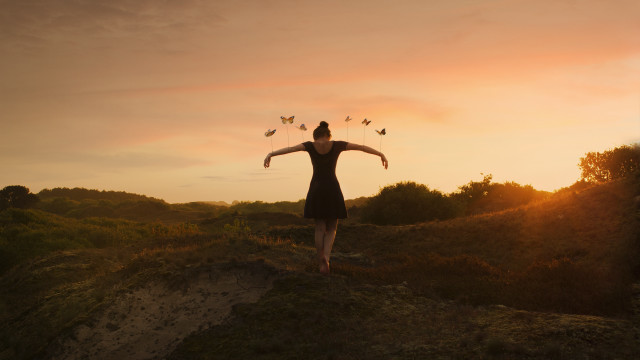 Woman outstretched arms birds sunset free wallpaper for desktop - medium preview image