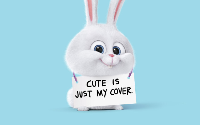 White rabbit cute sign blue free wallpaper for desktop - medium preview image
