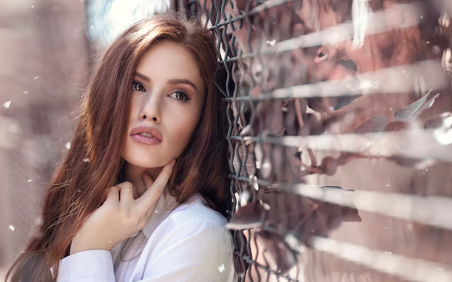 Eszter mattioni portrait snowy fence free wallpaper for desktop - medium preview image