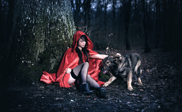 Red hooded woman dog woods free wallpaper for desktop - medium preview image