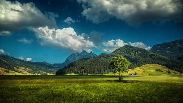 Lone tree mountains clouds meadow free wallpaper for desktop - medium preview image
