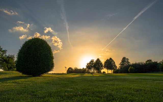 Field tree plane sunset clouds free wallpaper for desktop - medium preview image