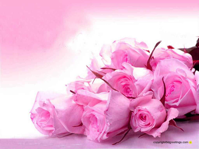 Bouquet pink roses table vase free wallpaper for desktop - medium preview image