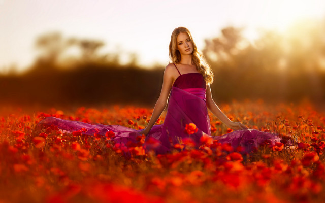 Woman purple dress field autumn free wallpaper for desktop - medium preview image