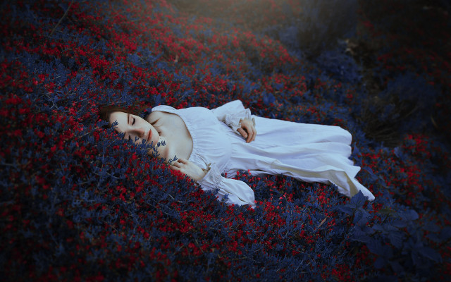 Woman flower field white dress #2 free wallpaper for desktop - medium preview image