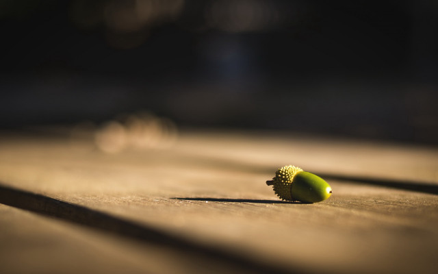 Small green object wooden table free wallpaper for desktop - medium preview image