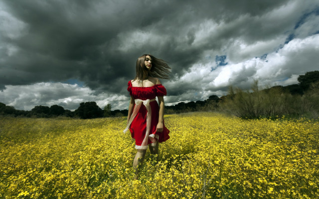 Woman red dress flower field #5 free wallpaper for desktop - medium preview image