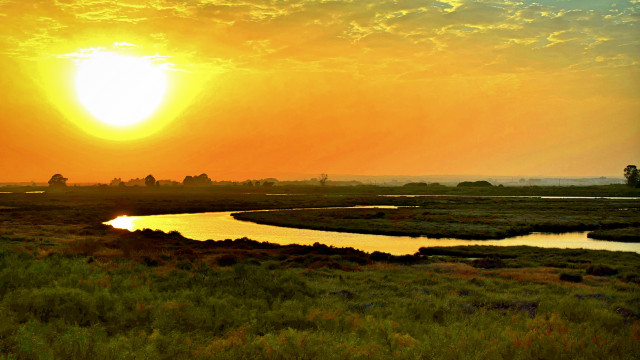 Sunset river grassy field trees free wallpaper for desktop - medium preview image