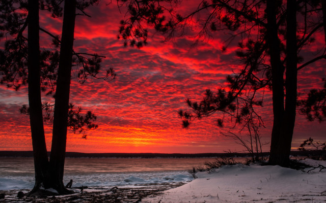 Red sky clouds trees water free wallpaper for desktop - medium preview image