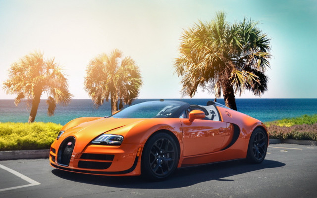 Bugatti parking lot ocean palm free wallpaper for desktop - medium preview image