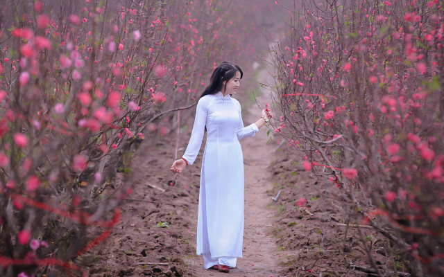 Woman white dress flower field #8 free wallpaper for desktop - medium preview image