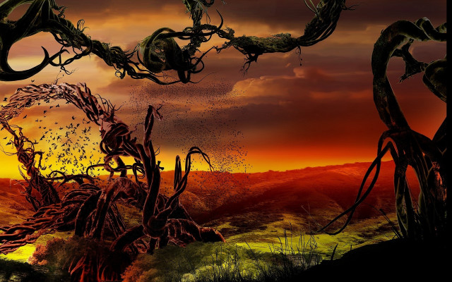 Sunset tree birds fire dragon free wallpaper for desktop - medium preview image