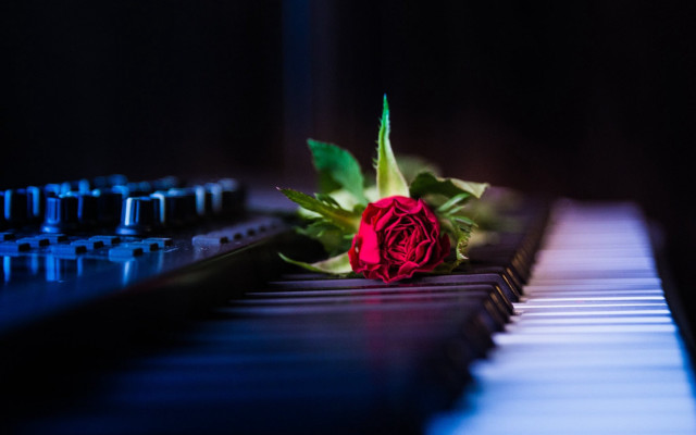 Blue rose piano music notes free wallpaper for desktop - medium preview image